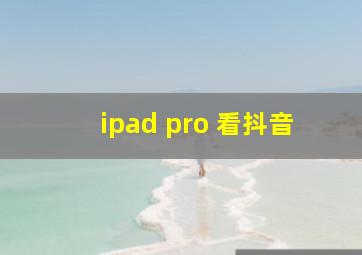 ipad pro 看抖音